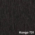 Kongo_731.jpg